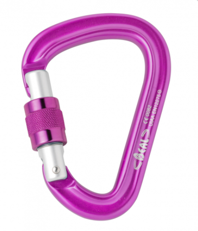 Beal BE SAFE Locking Carabiner