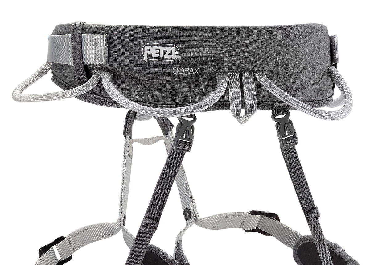Petzl CORAX Harness (v21)